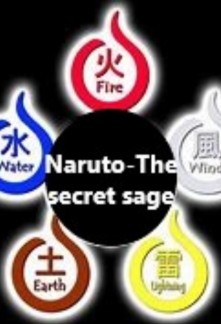 Naruto-The secret sage Cover
